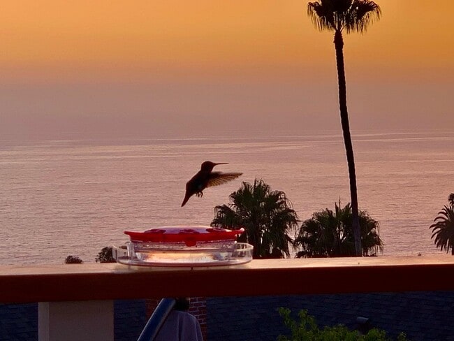 Photo - 31956 Sunset Ave Unit Studio