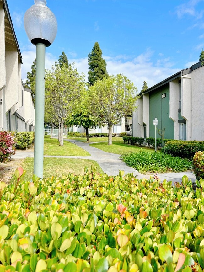 Courtyard - Cedar Glen