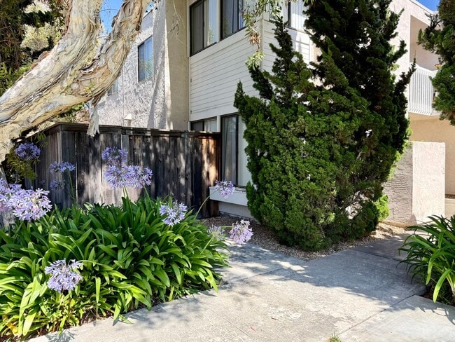 Large Lower Unit w/ Fenced Backyard! - Large Lower Apartment Unit w/ Fenced Backyard! Unit B