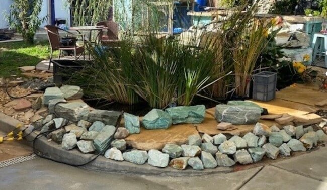 Pond - 433 S Fairview St