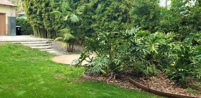Landscaped Backyard - 4142 Shadyglade Ave