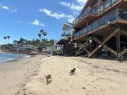 Photo - 26664 Seagull Way Unit A211