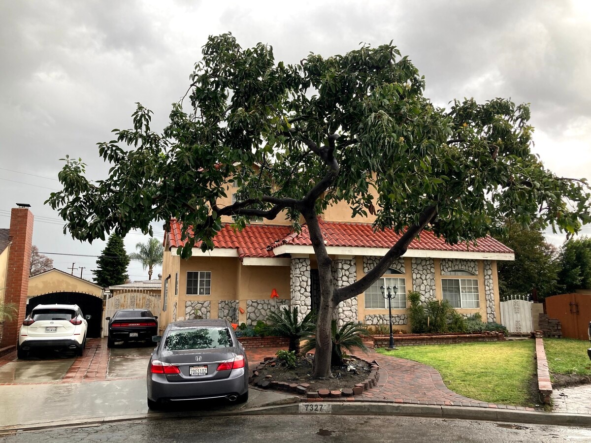 Photo - 7327 Otto St