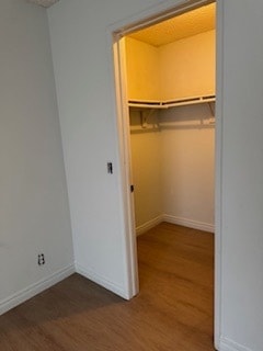 Walk-in Closet - 819 S Golden West Ave Unit A