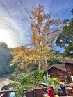 Photo - 21513 Highvale Trl House
