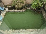 Back yard- common space - 1813 Oliver Ave Unit FL1B