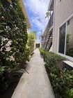 Abundant manicured planters create privacy - 1016 Western Ave Unit G