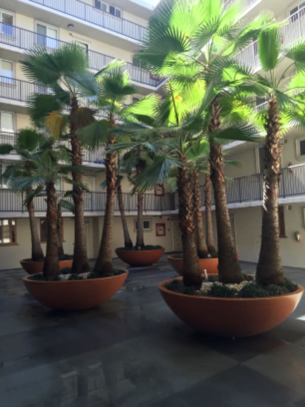 Photo - 7100 Hillside Ave Unit 105