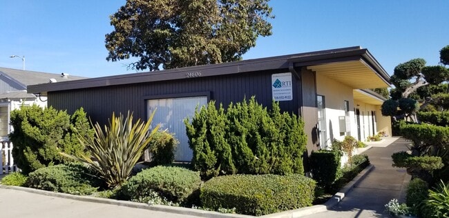 Building Photo - BELLA APARTMENTS: Beautiful 1 Bed - 1 Bath Unit D