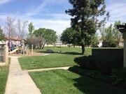 Photo - Beautiful CONDO for rent ! Shady Oaks Dr.!!!