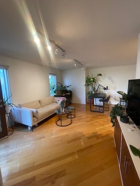 Photo - 1224 Poinsettia Dr