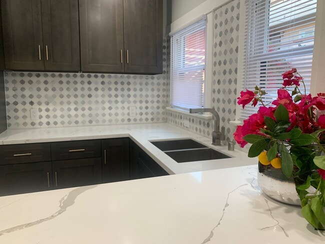 kitchen, marble counter - 1426 E Florida St Unit 1426