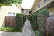 Courtyard - 3748 Midvale Ave Apartments