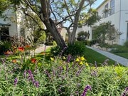 1008-1014 6th Street - 1008 6th St Unit F