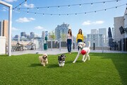 Dog park with dog bath - Vici Luxury Apartments