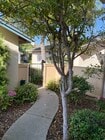 Front Garden - 7061 Marymount Way Townhome