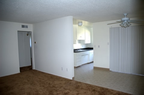 Photo - Vecino Capri