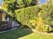 Privacy hedge - 2005 Beachwood N Dr