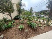 Photo - 1030 Idaho Ave Apartments
