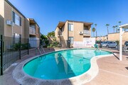 Pool - Terre at Ballantyne Apartments