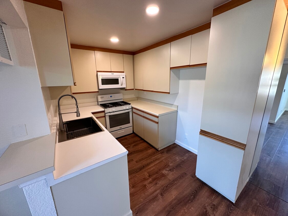 Floor Plan - 203