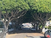 Photo - 721 Cedar St