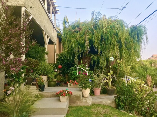 Photo - 2113 Clark Ln