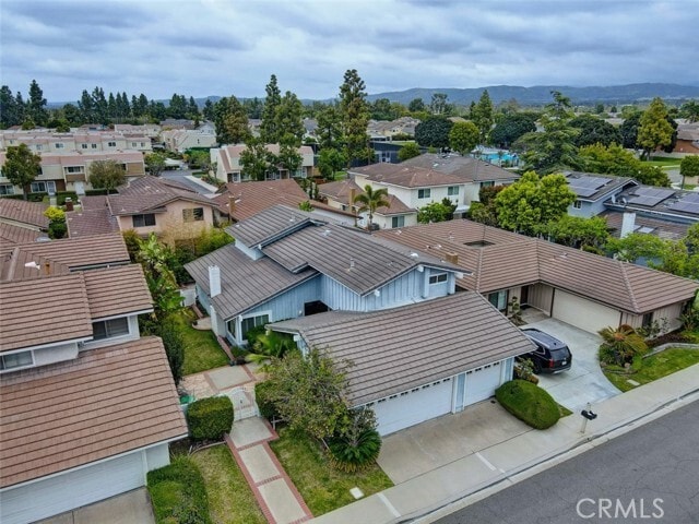 Photo - 8 Sparrowhawk