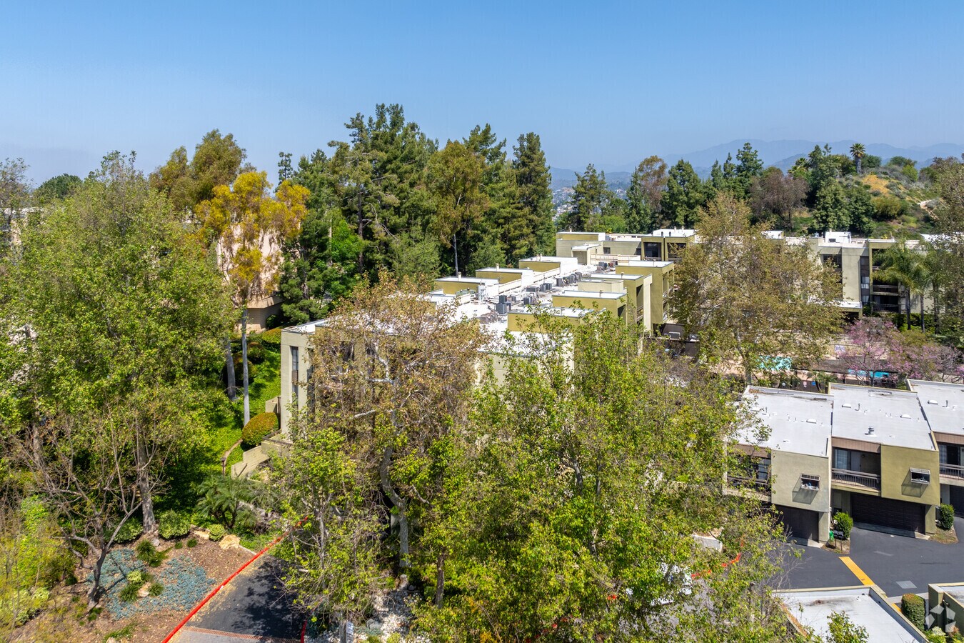 Alt Building - Temple Terrace