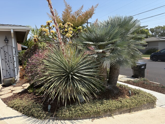 Photo - 4354 Mount Castle Ave