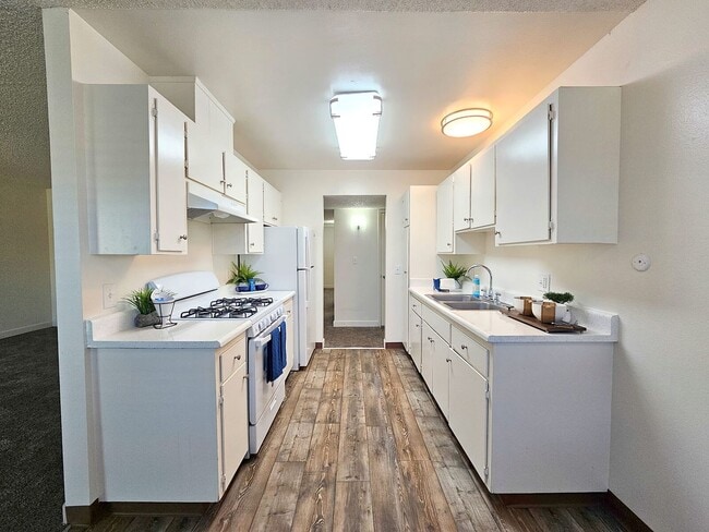 Photo - Shady Terrace