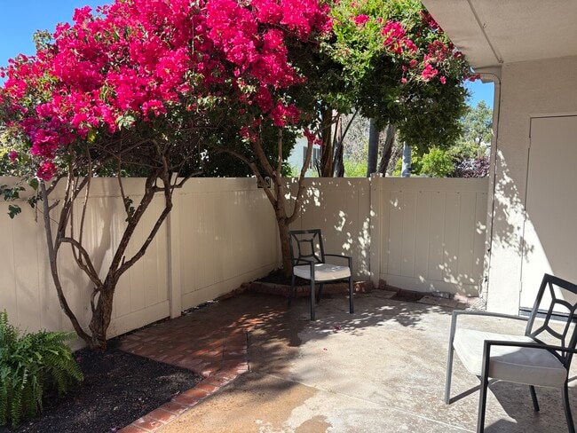 Photo - 24545 El Alicante