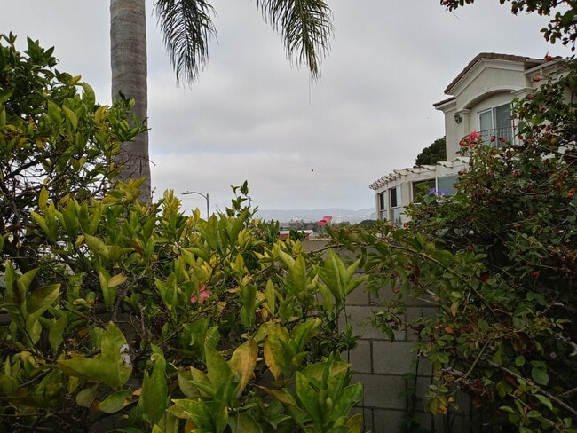 Photo - 12311 Marine St