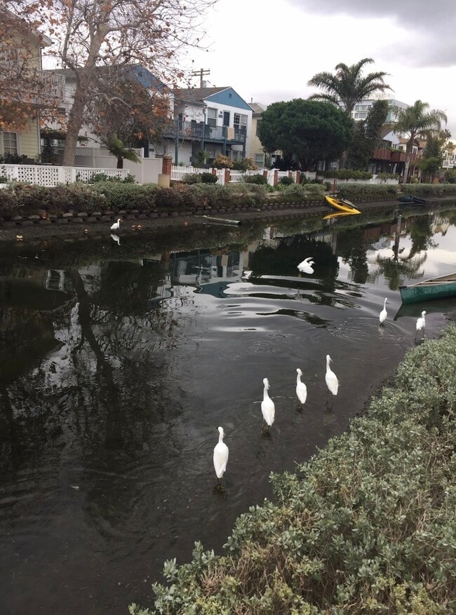 Photo - 2712 Strongs Dr Unit 1