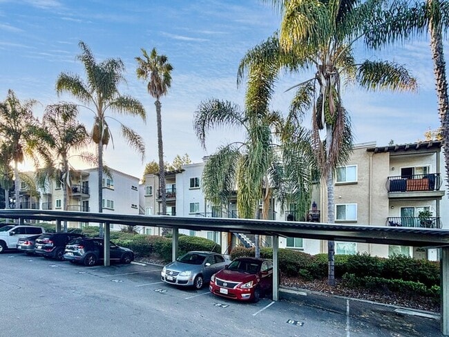 Photo - 3625 Ash St Condo Unit 2