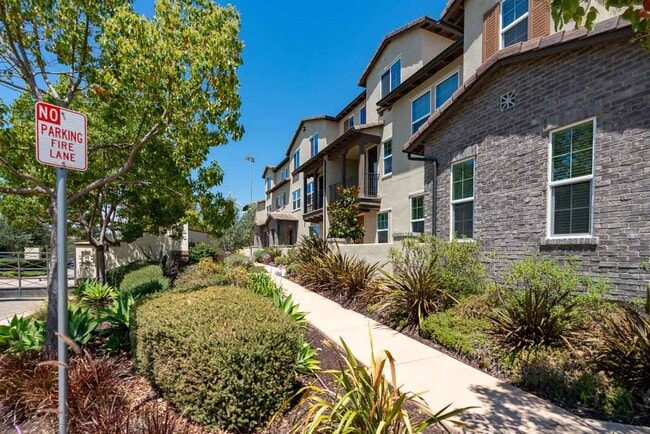 Building Photo - 3 Bedroom Townhome in the Veridian Community of Del Sur