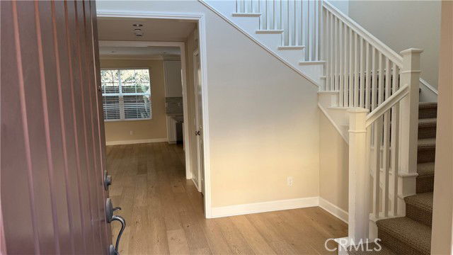 Photo - 144 Stallion