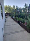 Photo - 401 Washingtonia Dr