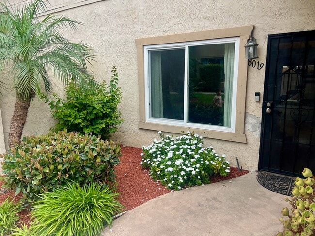 Entrance - 8019 Calle Fanita Unit 8019 Calle Fanita