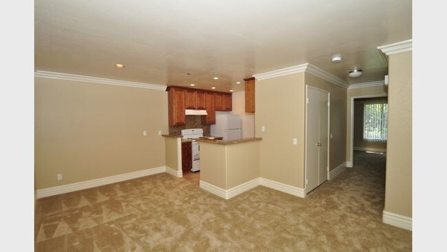 Photo - Sunset Springs Apartments