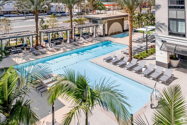 Pool - The Murphy Irvine