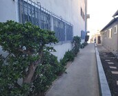 Photo - 623 S Grevillea Ave Apartment Unit 7