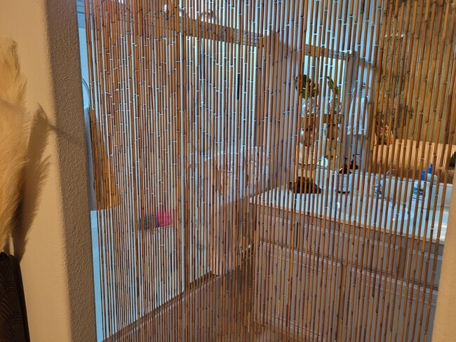 Photo - 29348 W Laguna Dr