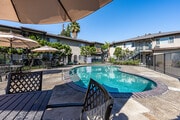 Pool - Evergreen Pine