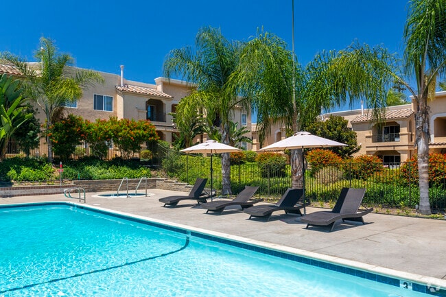 Pool - Loma Village Apartments