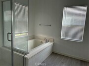 Photo - 67 Island Coral