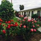 Photo - 263 N Florence St