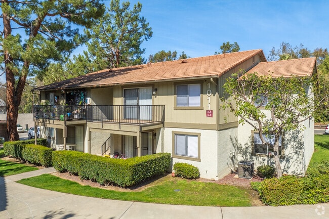 The Colony - The Colony