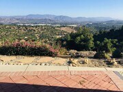 Photo - Top of the Hill