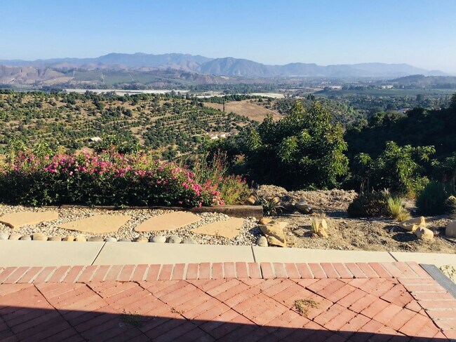 Photo - Top of the Hill